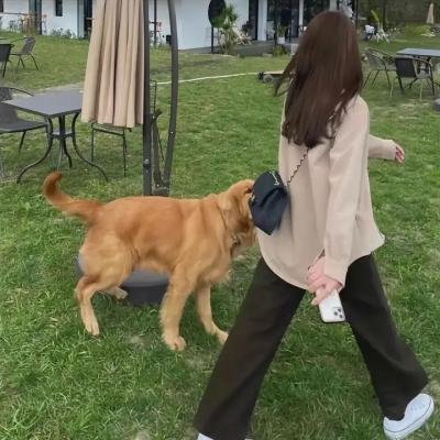 性病态心理学